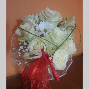 Pahuljica (šifra:32S)