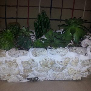 Sunčana obala (šifra:44S)