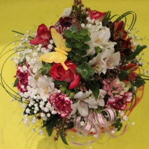 Pepeljuga (šifra:6S)