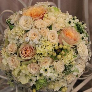 Venera (šifra:314S)