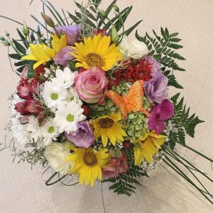 Leptirić (šifra:326S)