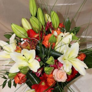 Dama (šifra: 5006S)