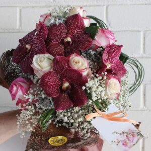 Lijepa Slavljenica  (šifra: 445S)