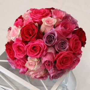 Lila Lala (šifra: 5017S)