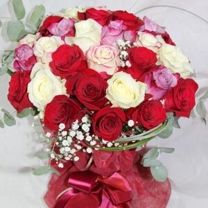 Princeza (šifra: 550S)