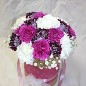 Karanfili u poklon kutiji (šifra629St)