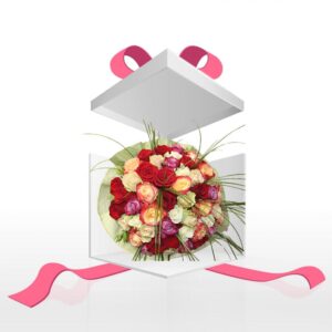 51 šarena ruža (šifra: 1HR)