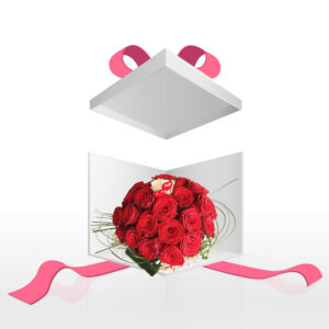 Jedina Moja (šifra: 6HR)