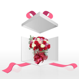 Lijepa (šifra: 8HR)