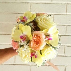 Ljepotica(šifra 760 St)