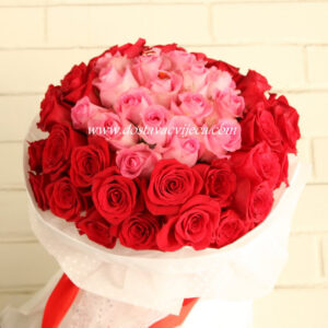 Afrodita (šifra 788 Zg)