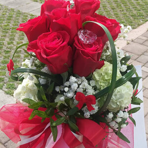 Ljubav u vazi (šifra: 1ZG)