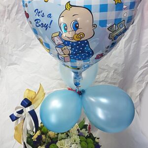 Rođenje dečeca (šifra:105PB)