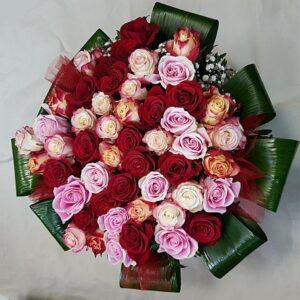 Veseli i šareni (šifra: 8500PB)