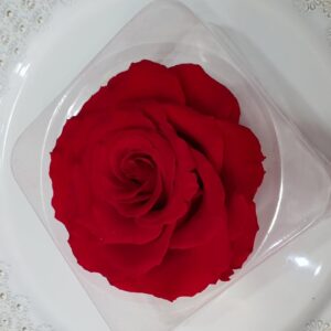 Trajna ruža crvena mega (950 St)