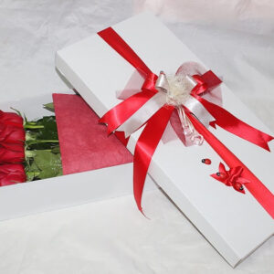 Ljubav u ukrasnoj kutiji (šifra: 4PB)