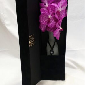 Orhideja Vanda u baršun boxu (975 St)