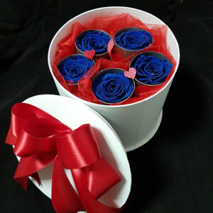 Plave Ruže box ( trajne-988 St)