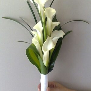 Decentne kale (1026 Zg)