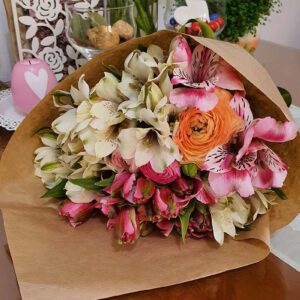 Alstromerie (1027 Zg)