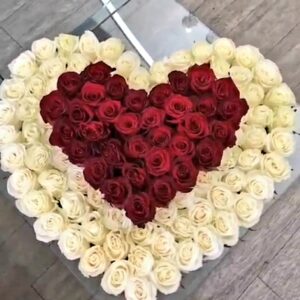 Srce od ruža mega box(1108 Zg)
