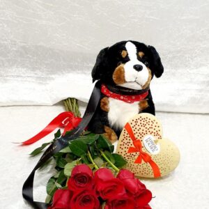 Ljubilica  ( 1118 St)