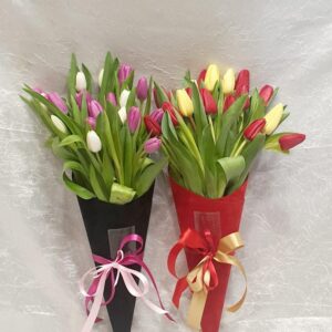 Tulipani u baršun tuljku (1137 St)