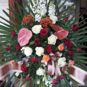 VIJENAC (Šifra: 6VS)