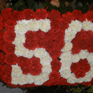 ARANŽMAN (šifra: 10VS)