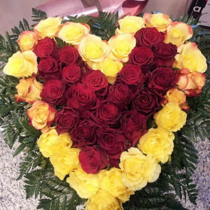 ARANŽMAN  (Šifra: 19VS)