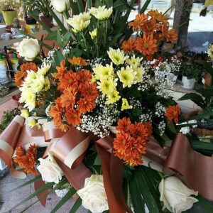 ARANŽMAN  (Šifra: 22VS)