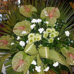 ARANŽMAN  (Šifra: 26VS)