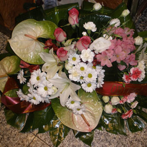 ARANŽMAN  (Šifra: 25VS)