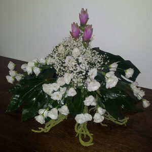 ARANŽMAN  (Šifra: 36VS)