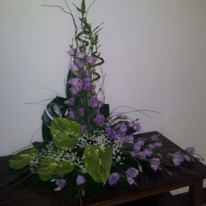 ARANŽMAN  (Šifra: 37VS)