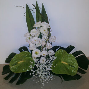 ARANŽMAN  (Šifra: 39VS)