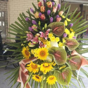 Vijenac (šifra: 14V)