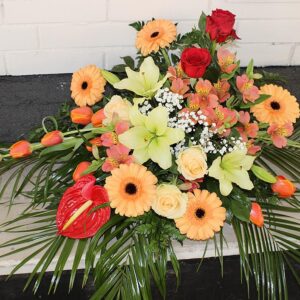 ARANŽMAN (šifra:112VS)