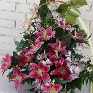 ARANŽMAN (šifra:121S)