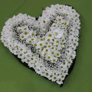 ARANŽMAN SRCE 2 (šifra:124S)