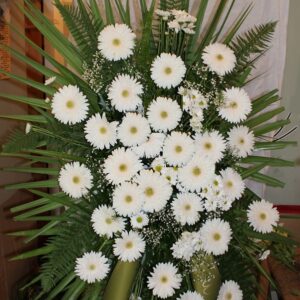 VIJENAC (Šifra: 8V)