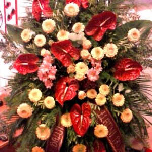 Vijenac (šifra: 100V)