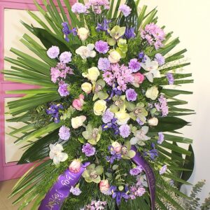 Vijenac (šifra: 213V)